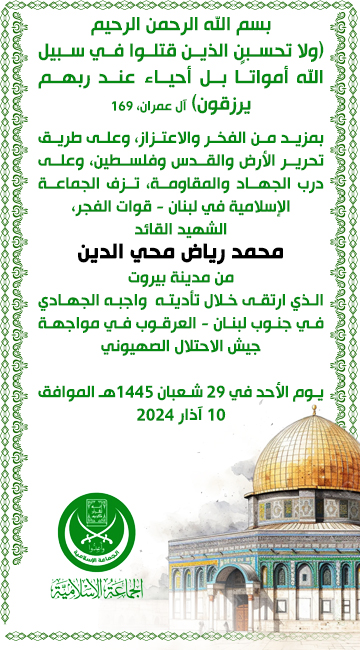 mohammad-mohey-el-deen (4)
